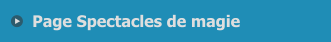 Page Spectacles de magie