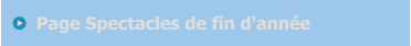 Page Spectacles de fin d'année